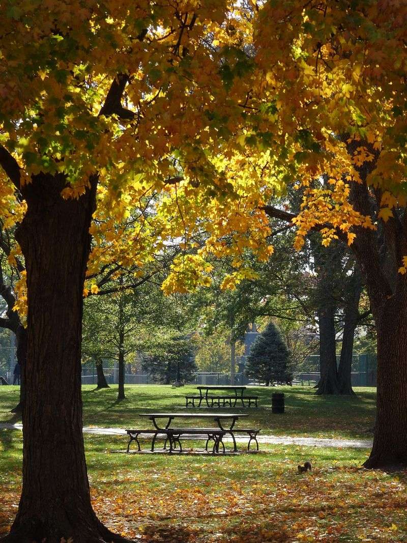 Shade, Fragrance And A Slower Pace Shade, Fragrance And A Slower Pace
