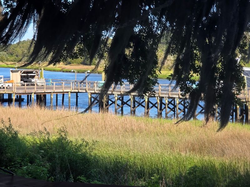 Shade Trees, Breezes, and Passing Boats