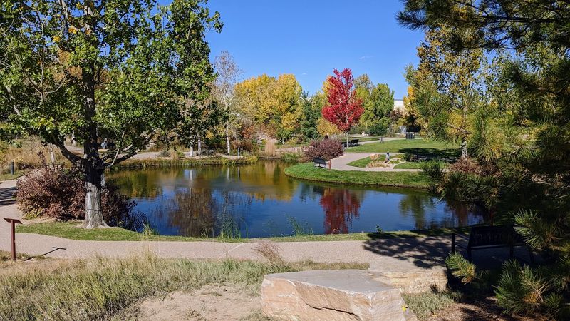 Shade, Water, and Summer Planning Shade, Water, and Summer Planning