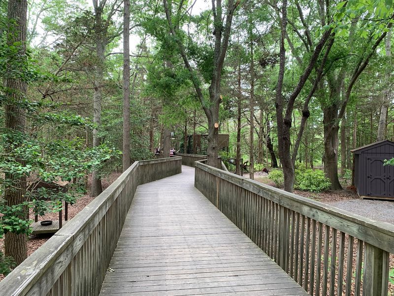 Shaded Paths That Make Summer Visits Easier