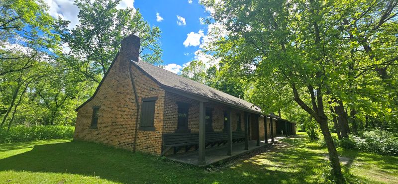 Shady Picnics Under Historic Elms