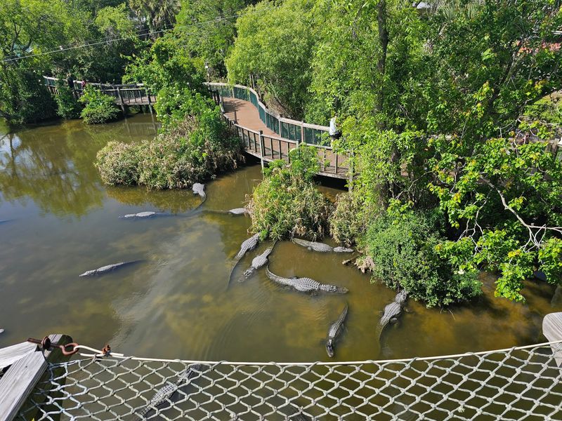 Shady Swamp Trails and a Breeding Marsh