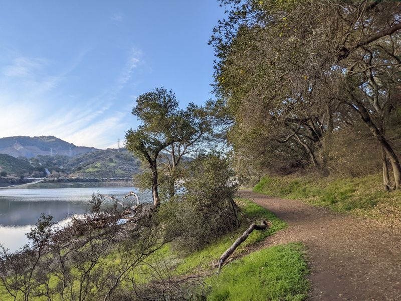 Shady Trails, Deer Sightings, and Easy Miles Shady Trails, Deer Sightings, and Easy Miles