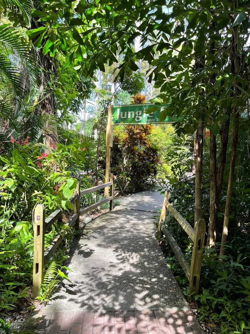 Shady Trails and a Few Honest Trade-Offs