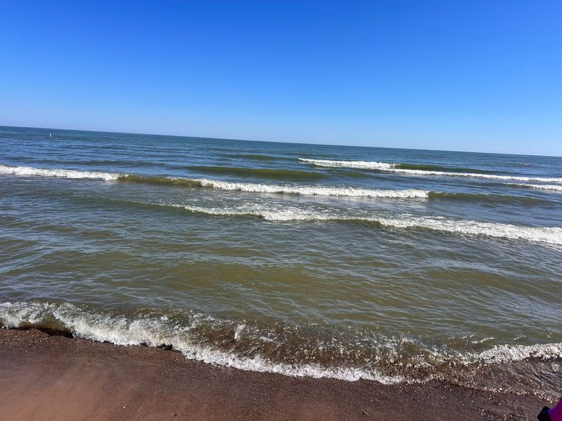 Shallow Swimming and Boogie Board Waves Shallow Swimming and Boogie Board Waves