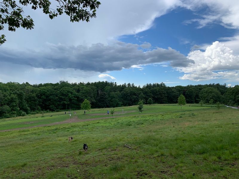 Sheepfold Dog Park Sheepfold Dog Park