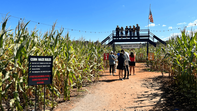 Shelby Corn Maze, Shelby, NC