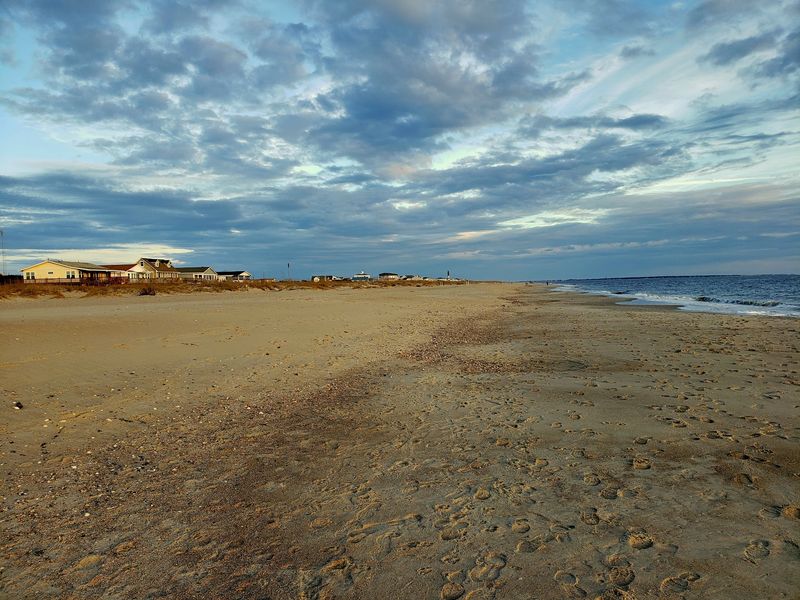 Shells, Sand, and Treasure Hunting Shells, Sand, and Treasure Hunting