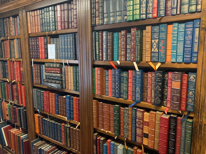 Shelves Stacked with New, Old, and Rare Shelves Stacked with New, Old, and Rare