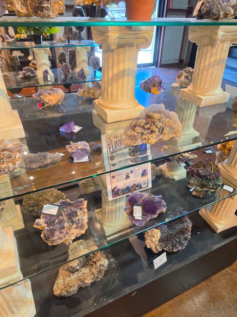 Shelves That Read Like a Museum Shelves That Read Like a Museum