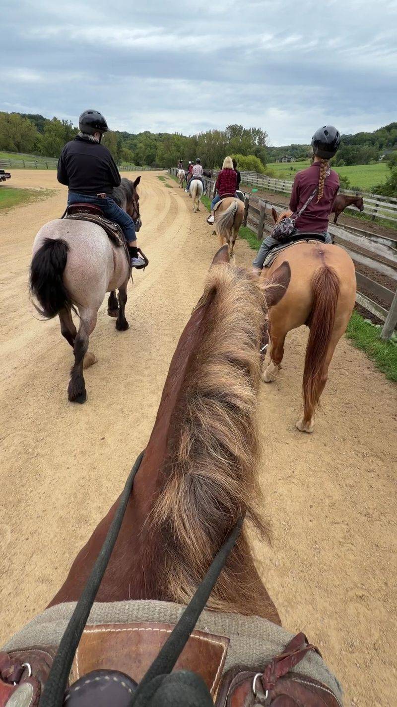 Shenandoah Riding Center, Galena, IL Shenandoah Riding Center, Galena, IL