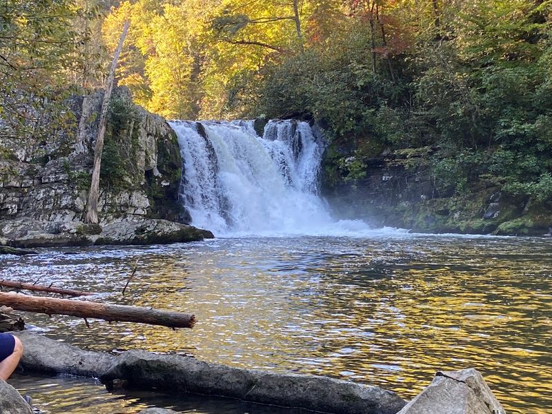 Short Drop, Big Personality at the Falls