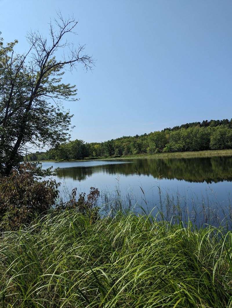 Short Trails to the River and Meadow