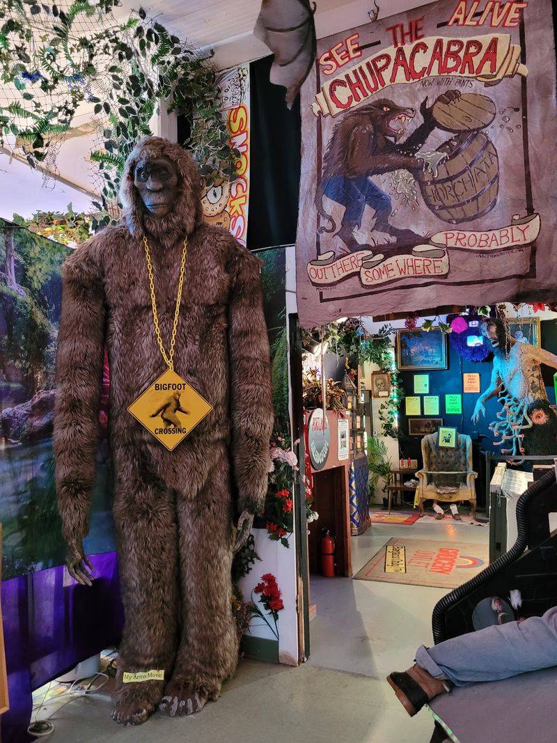 Shrunken Heads, Bigfoot, and Other Oddities