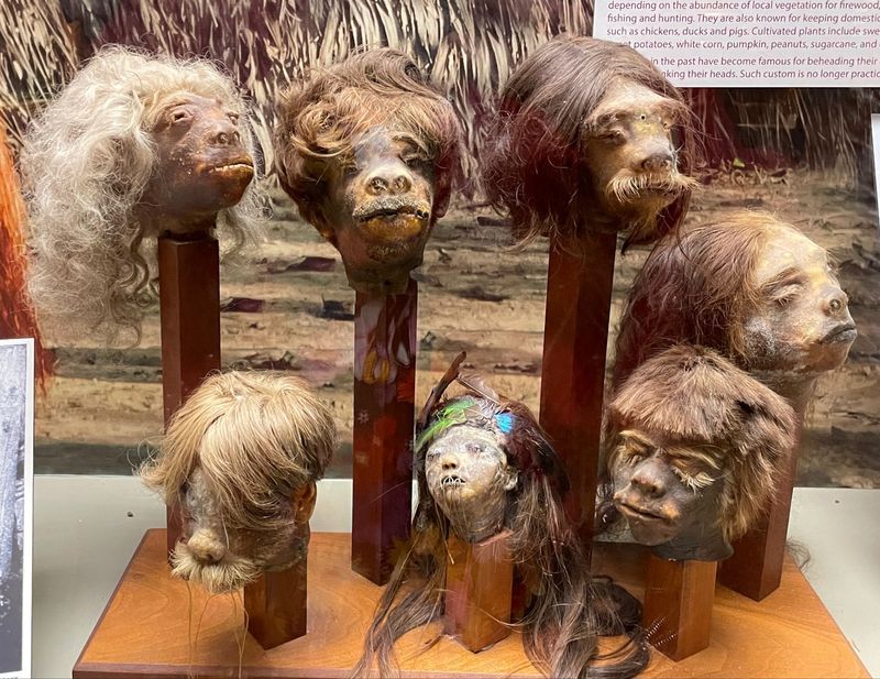 Shrunken Heads, Colts, and Curious Oddities