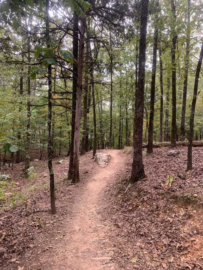 Side Trails for the Curious Side Trails for the Curious