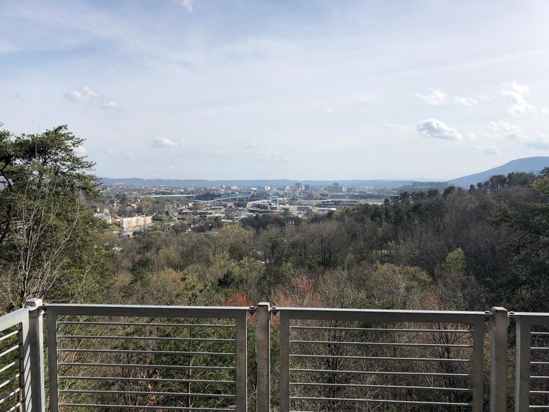 Skyline Views From the Big Wooden Deck Skyline Views From the Big Wooden Deck