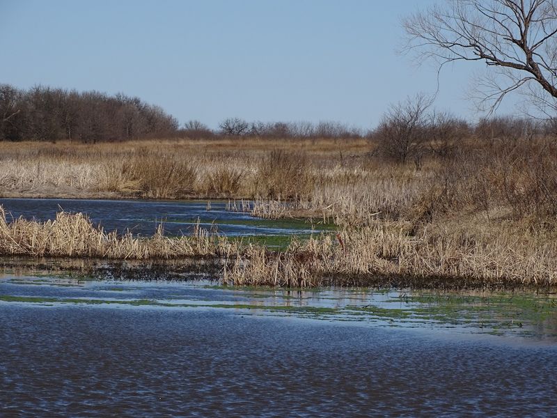 Slate Creek Wildlife Area, Oxford, Kansas
