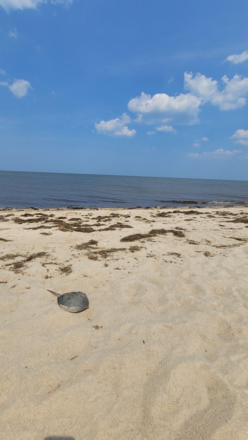 Slaughter Beach, Delaware