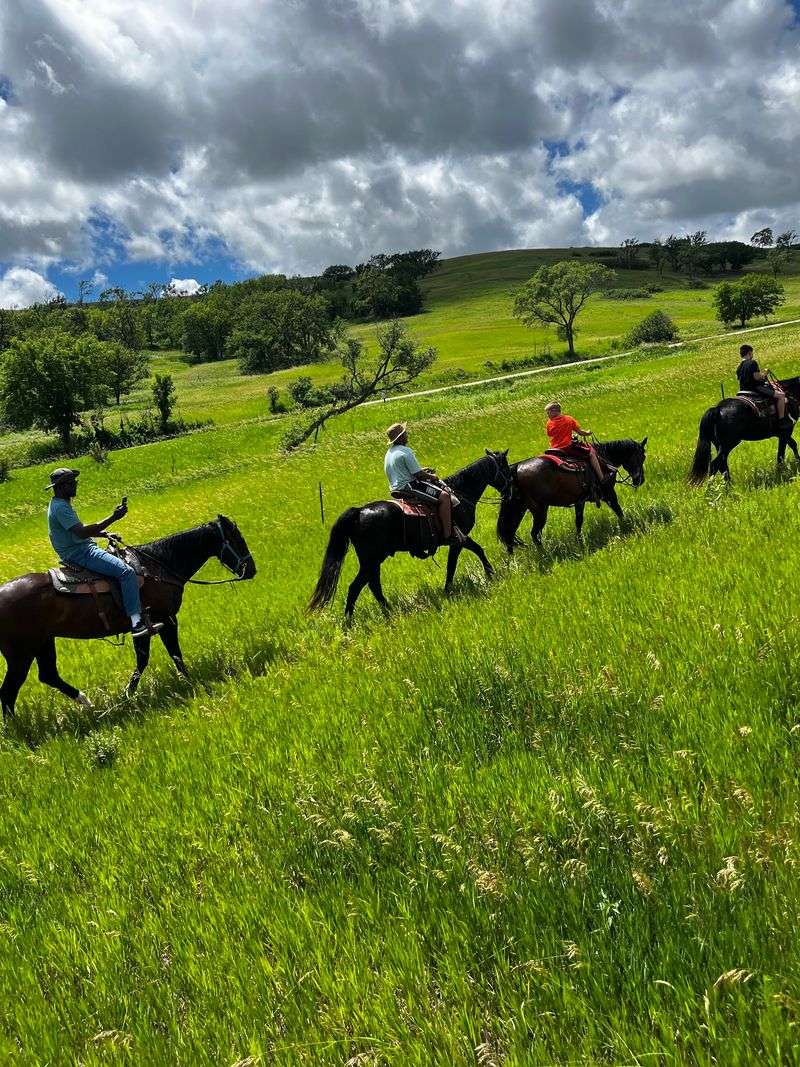 Slow Rides on Horseback