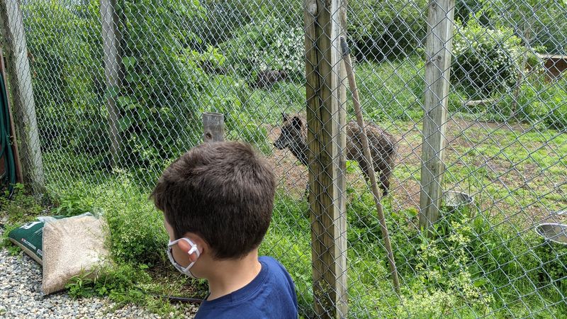 Small Visitors, Big Reactions