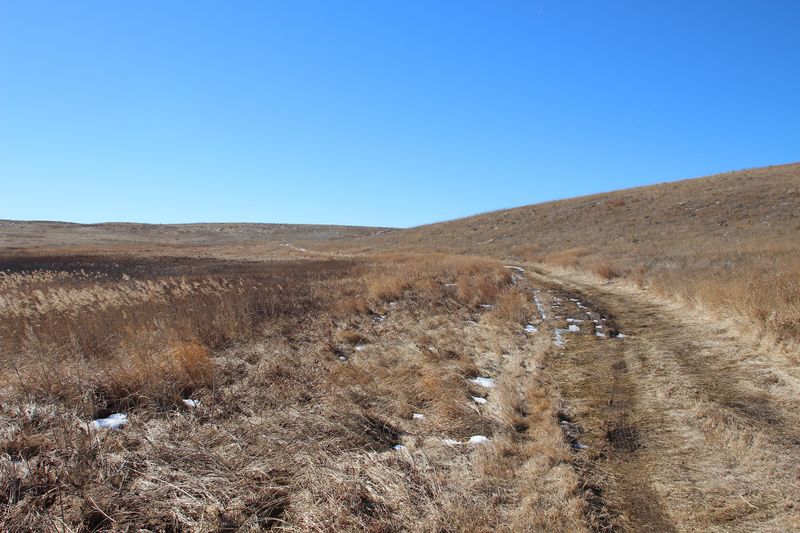 Smart Packing for Sandhills Solitude