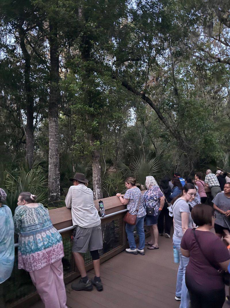 Smart Timing for a Popular Florida Park Smart Timing for a Popular Florida Park