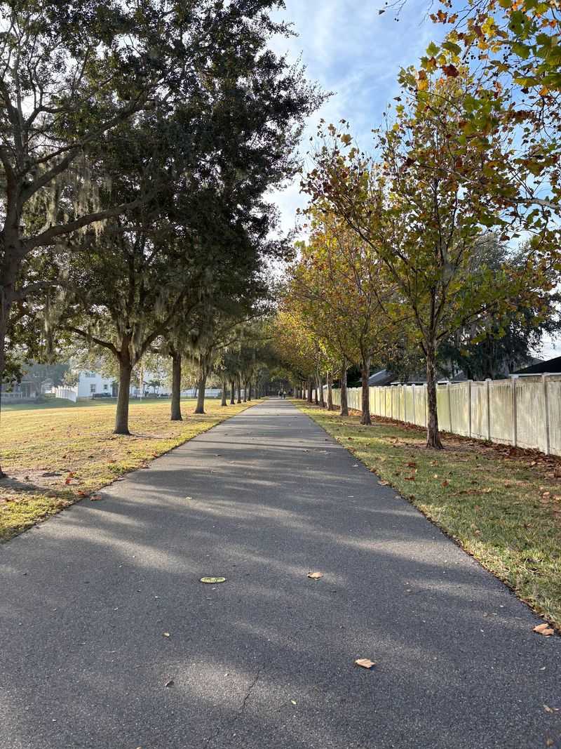 Smooth Asphalt for Skates and Boards Smooth Asphalt for Skates and Boards