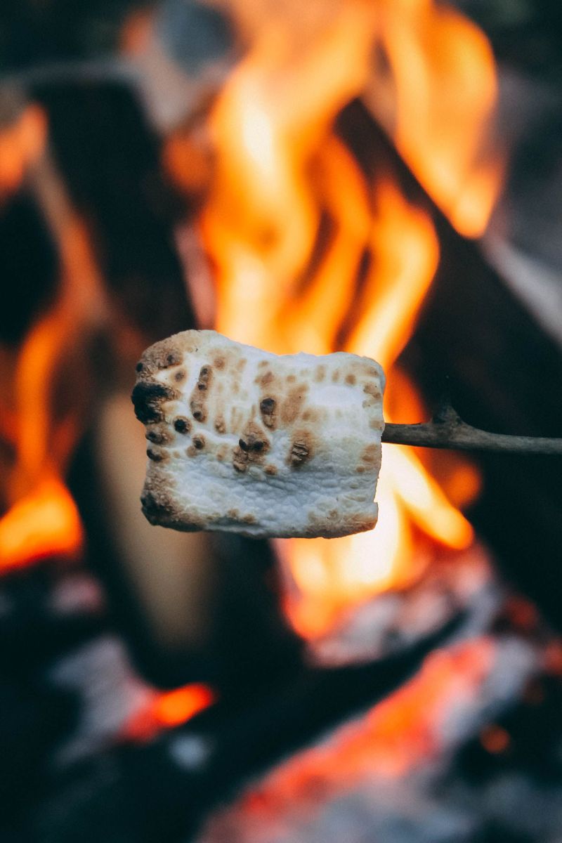 S'mores S'mores