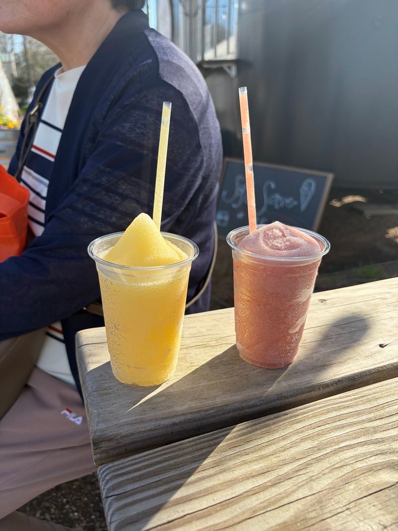 Snacks, Food Trucks, and Small Treats