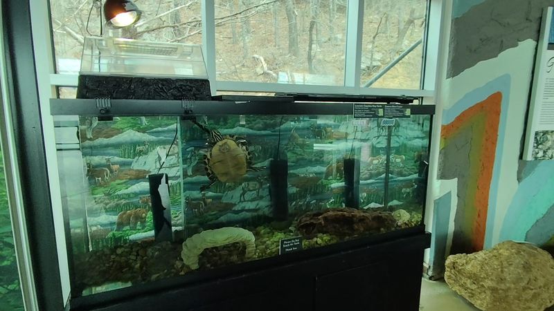 Snakes, Salamanders, and Friendly Guides at the Nature Center Snakes, Salamanders, and Friendly Guides at the Nature Center