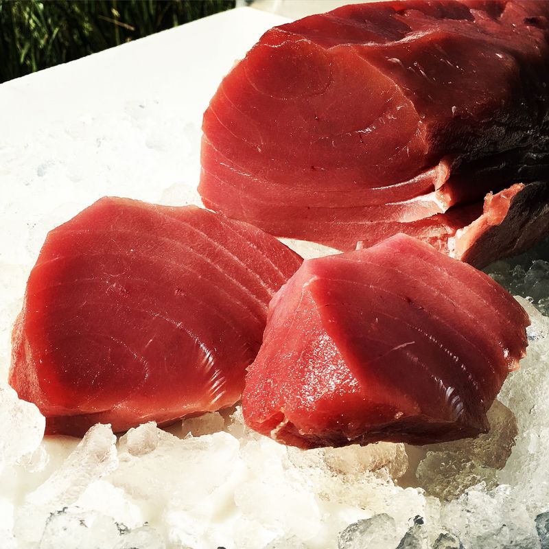 Snapper, Grouper, Tuna and Beyond Snapper, Grouper, Tuna and Beyond
