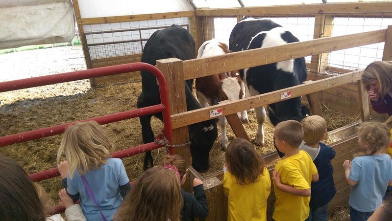 Sneaky Lessons About Where Food Comes From Sneaky Lessons About Where Food Comes From