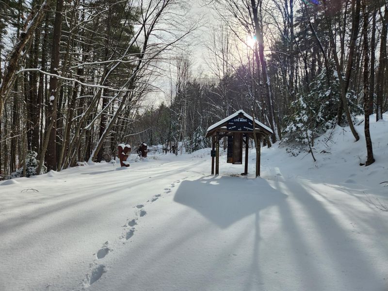 Snowy Hikes Among the Sculptures