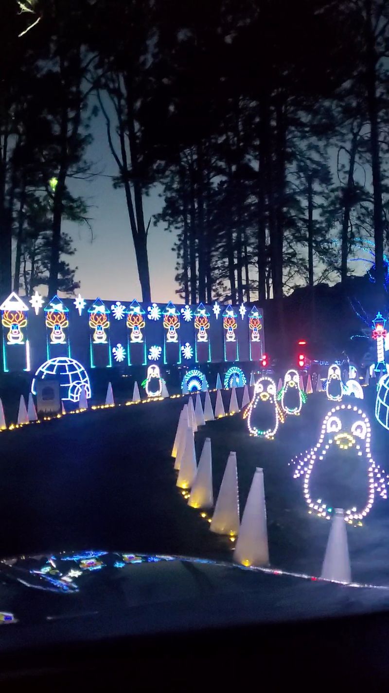Soddy-Daisy's Turn in the Holiday Spotlight