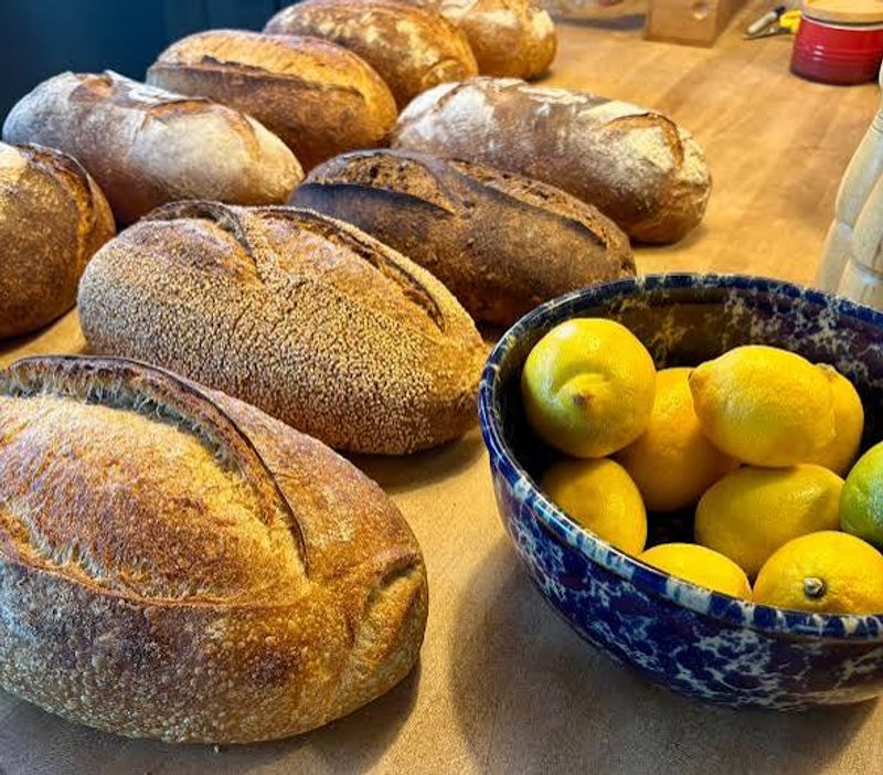 Sourdough From Top to Bottom Sourdough From Top to Bottom