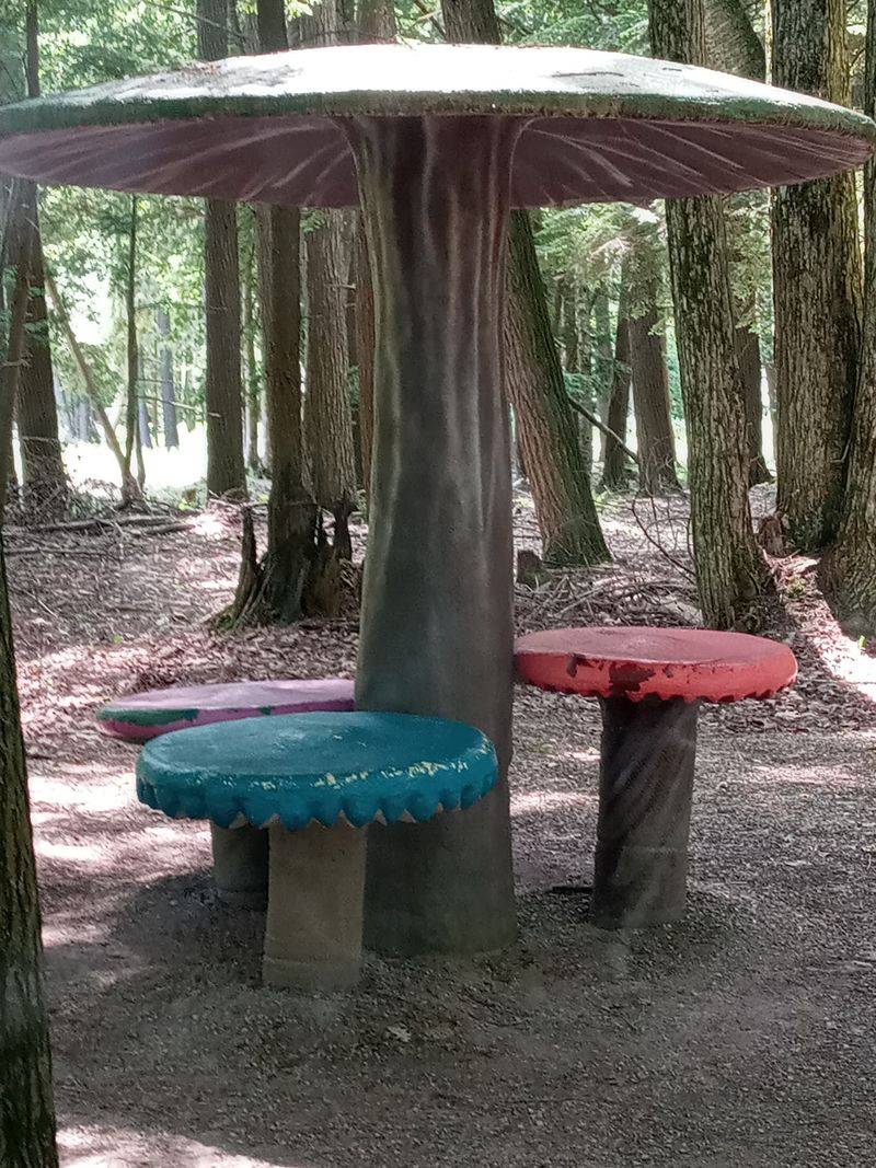 Souvenirs, Soft Serve, and Picnic Tables Souvenirs, Soft Serve, and Picnic Tables