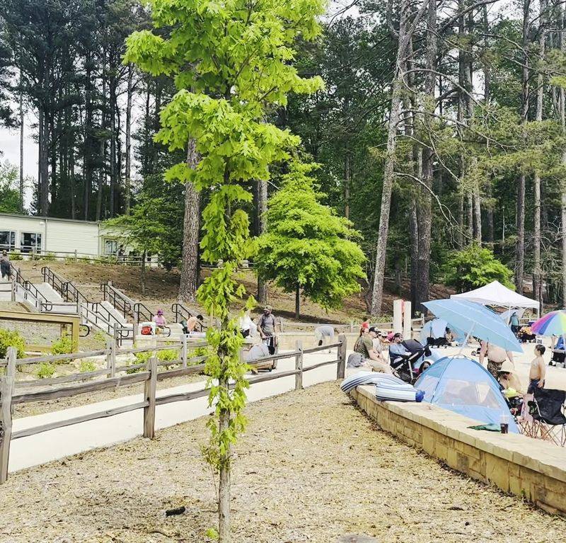 Spacious Campgrounds Under the Trees Spacious Campgrounds Under the Trees