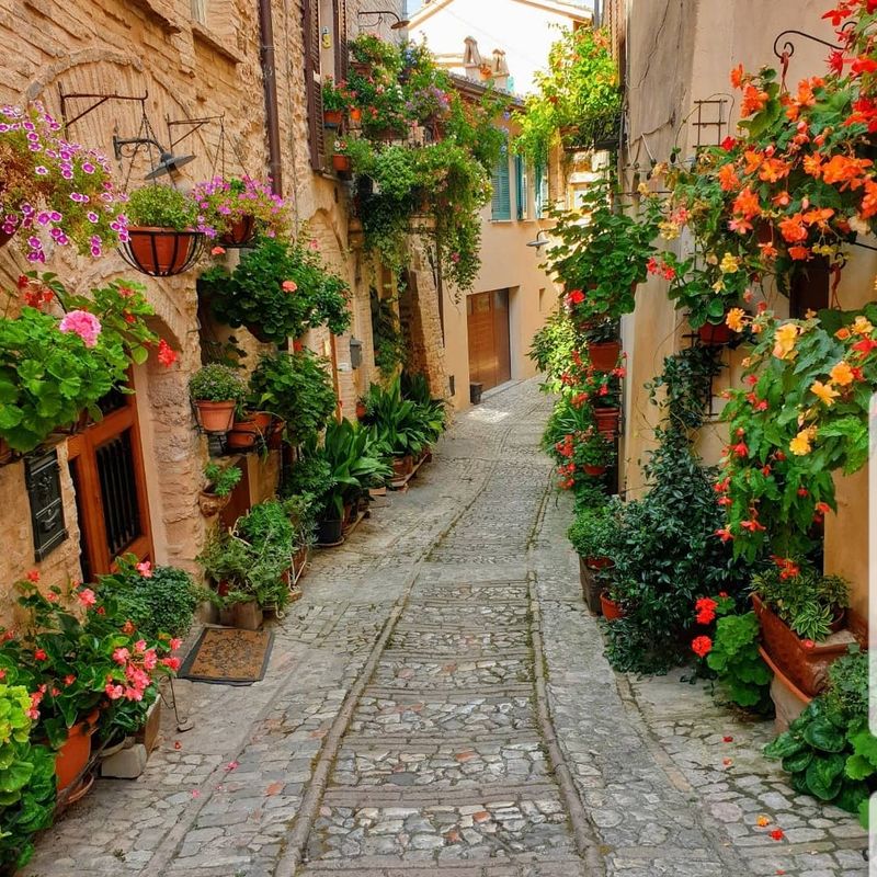 Spello, Umbria Spello, Umbria