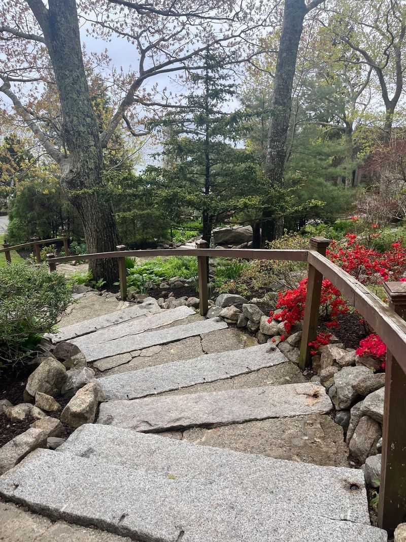 Spiral Stairs That Keep You Guessing Spiral Stairs That Keep You Guessing