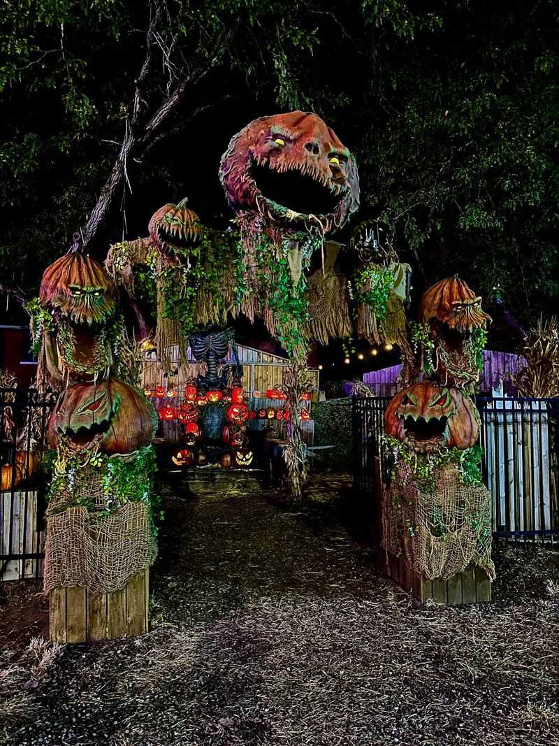 Spooky Fun Outside the Front Doors Spooky Fun Outside the Front Doors