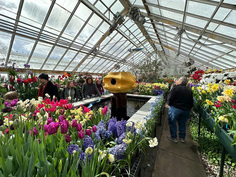 Spring Bulb Show Crowds