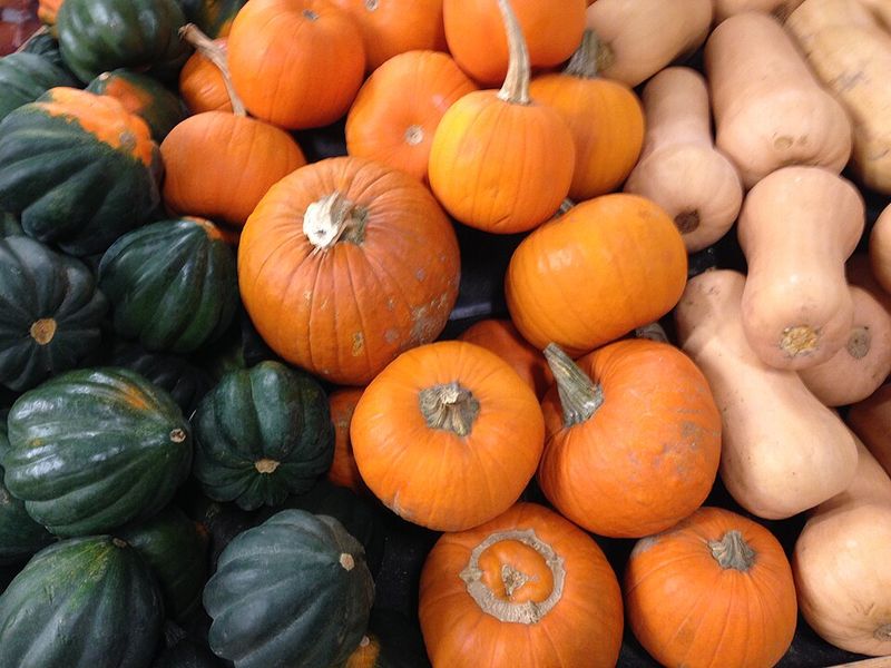 Squash and Pumpkins