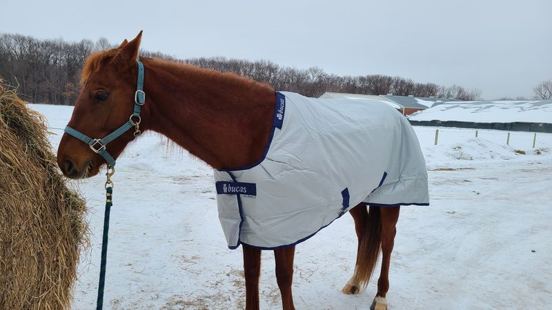 Staff Who Actually Know Horses Staff Who Actually Know Horses
