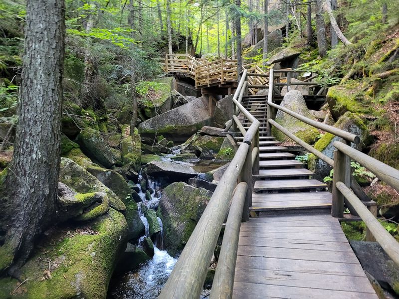 Stairs, Stairs, and a Few More Stairs