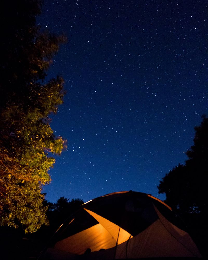Star Field Is Where The Night Show Happens