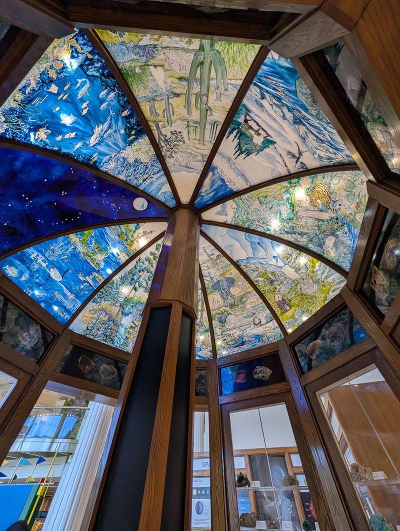 Stars, Shows, and a Dome Worth Planning Around