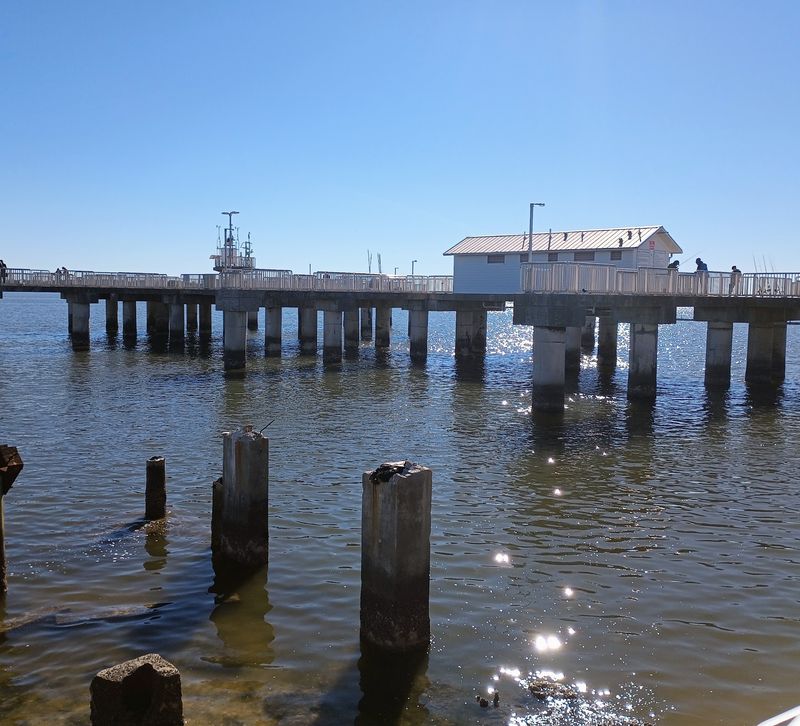 Storms Came Through, and the Pier Came Back Storms Came Through, and the Pier Came Back