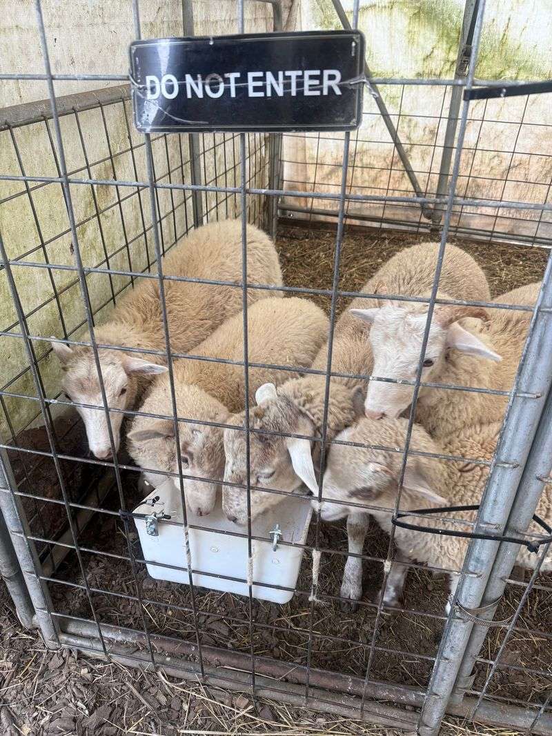Stowe Farm, Millbury, MA