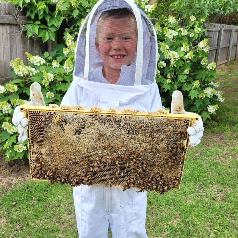 Straight From the Hive to Your Table Straight From the Hive to Your Table